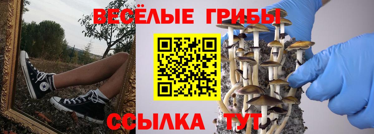 Галлюциногенные грибы Magic Shrooms  Псилоцибиновые грибы мухоморы  Добрянка  Вход с VPN 
