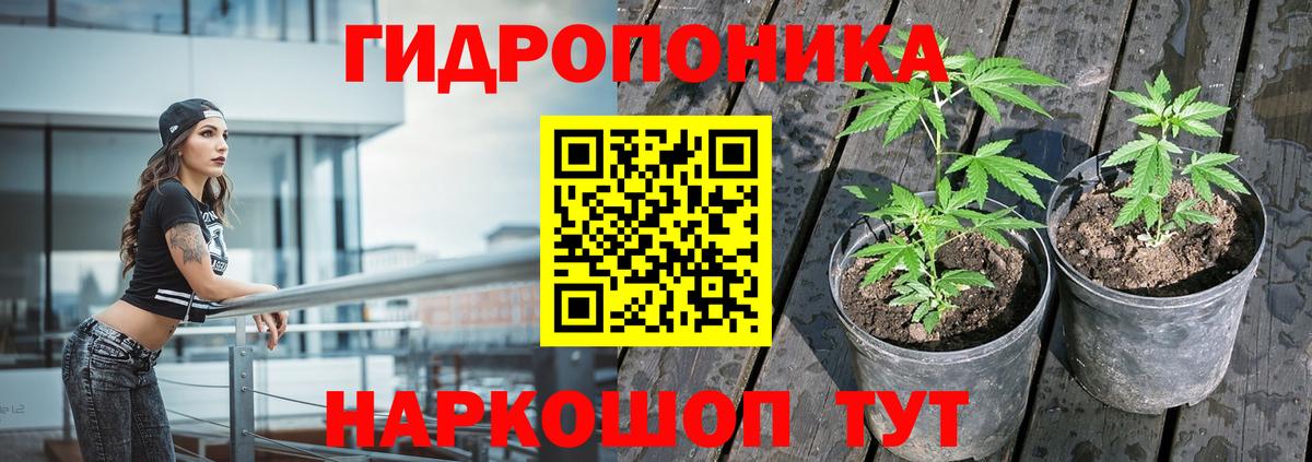 Добрянка  Бошки марихуана гибрид  Каннабис конопля  Шишки марихуана MAZAR  Вход с VPN 
